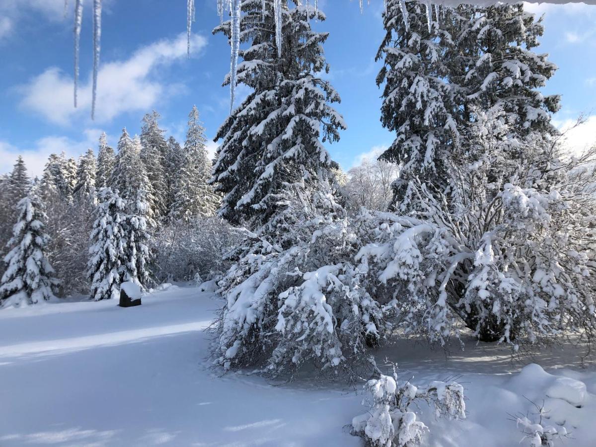 Gite Les Trois Pierres, Proche De Gerardmer Βίλα Liézey Εξωτερικό φωτογραφία