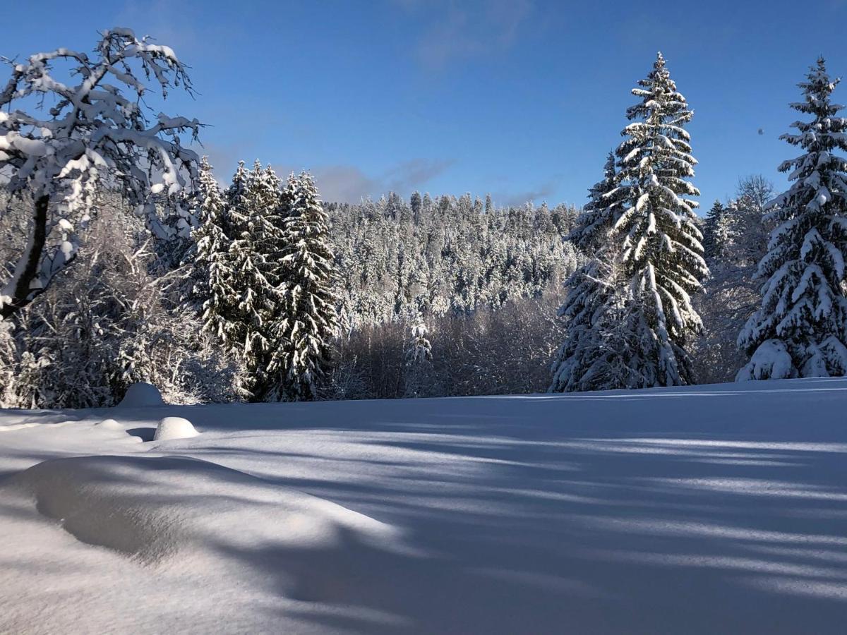 Gite Les Trois Pierres, Proche De Gerardmer Βίλα Liézey Εξωτερικό φωτογραφία